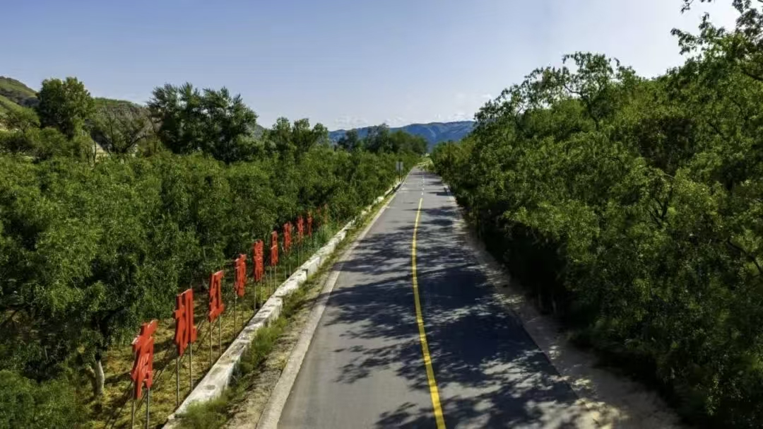 陕西佳县：深耕特色产